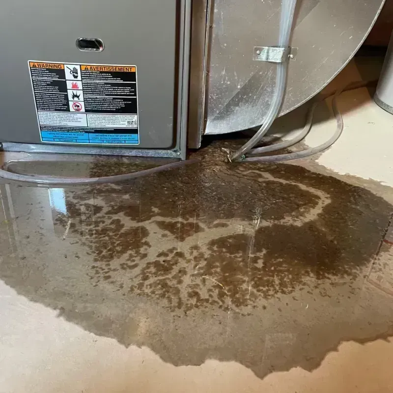 Appliance Leak Cleanup in Pemberville, OH